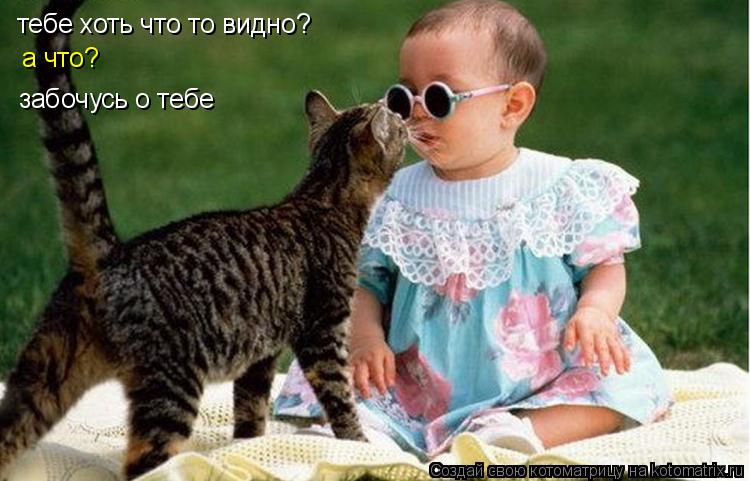 тебе хоть что то видно? а что? забочусь о тебе... Котоматрица: тебе хоть что то видно? а что? забочусь о тебе