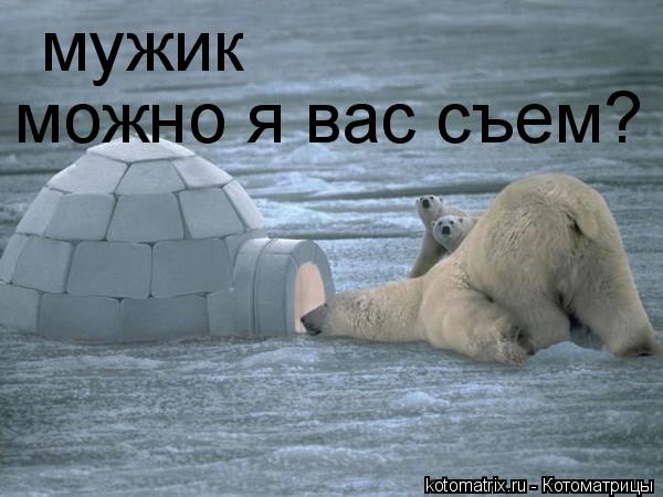 мужик можно я вас съем?... Котоматрица: мужик можно я вас съем?
