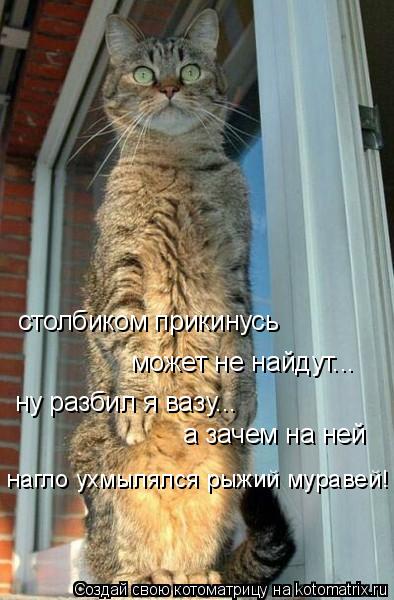 столбиком прикинусь может не найдут... ну разбил я вазу... а зачем на ней нагло ухмылялся рыжий мурав... Котоматрица: столбиком прикинусь может не найдут... ну разбил я вазу... а зачем на ней нагло ухмылялся рыжий муравей!