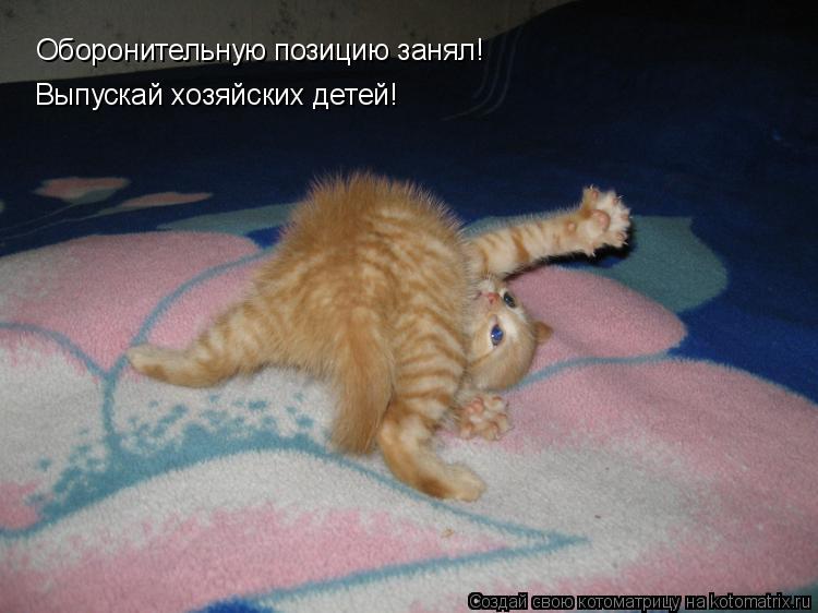 Оборонительную позицию занял! Выпускай хозяйских детей!... Котоматрица: Оборонительную позицию занял! Выпускай хозяйских детей!