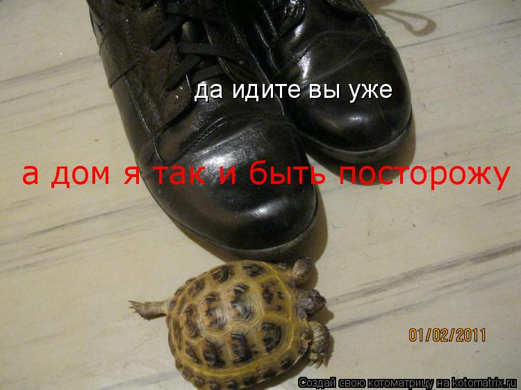 да идите вы уже а дом я так и быть посторожу... Котоматрица: да идите вы уже а дом я так и быть посторожу