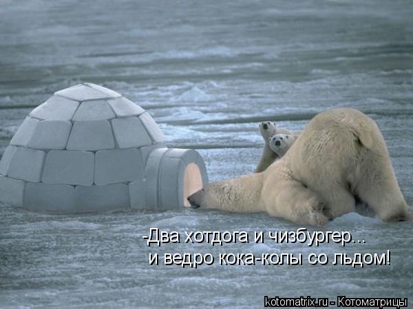 -Два хотдога и чизбургер... и ведро кока-колы со льдом!... Котоматрица: -Два хотдога и чизбургер... и ведро кока-колы со льдом!