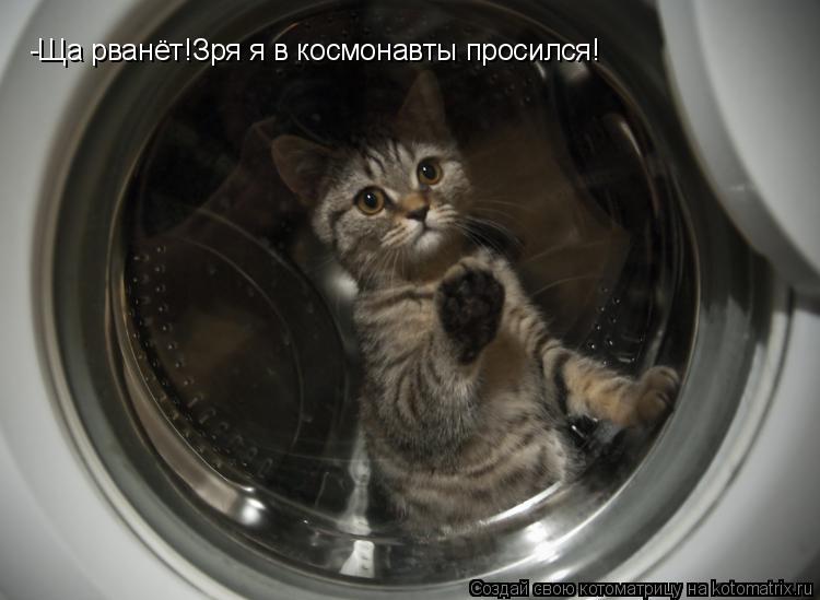 -Ща рванёт!Зря я в космонавты просился!... Котоматрица: -Ща рванёт!Зря я в космонавты просился!