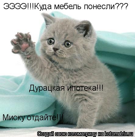 ЭЭЭЭ!!!Куда мебель понесли??? Миску отдайте!!! Дурацкая ипотека!!!... Котоматрица: ЭЭЭЭ!!!Куда мебель понесли??? Миску отдайте!!! Дурацкая ипотека!!!