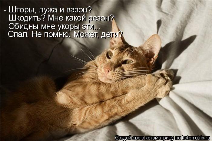 - Шторы, лужа и вазон? Шкодить? Мне какой резон? Обидны мне укоры эти... Спал. Не помню. Может, дети... Котоматрица: - Шторы, лужа и вазон? Шкодить? Мне какой резон? Обидны мне укоры эти... Спал. Не помню. Может, дети?