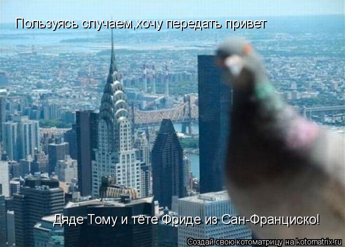 Пользуясь случаем,хочу передать привет Дяде Тому и тёте Фриде из Сан-Франциско!... Котоматрица: Пользуясь случаем,хочу передать привет Дяде Тому и тёте Фриде из Сан-Франциско!