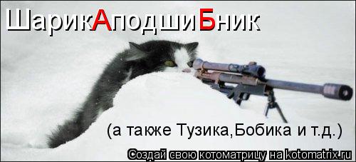ШарикАподшиБник Б А (а также Тузика,Бобика и т.д.)... Котоматрица: ШарикАподшиБник Б А (а также Тузика,Бобика и т.д.)