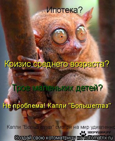 Ипотека? Кризис среднего возраста? Трое маленьких детей? Не проблема! Капли "Большеглаз" Капли "Боль... Котоматрица: Ипотека? Кризис среднего возраста? Трое маленьких детей? Не проблема! Капли "Большеглаз" Капли "Большеглаз" смотри на мир удивленно.
