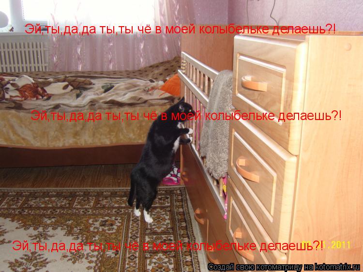 Эй,ты,да,да ты,ты чё в моей колыбельке делаешь?! Эй,ты,да,да ты,ты чё в моей колыбельке делаешь?! Эй,... Котоматрица: Эй,ты,да,да ты,ты чё в моей колыбельке делаешь?! Эй,ты,да,да ты,ты чё в моей колыбельке делаешь?! Эй,ты,да,да ты,ты чё в моей колыбельке делаешь?!