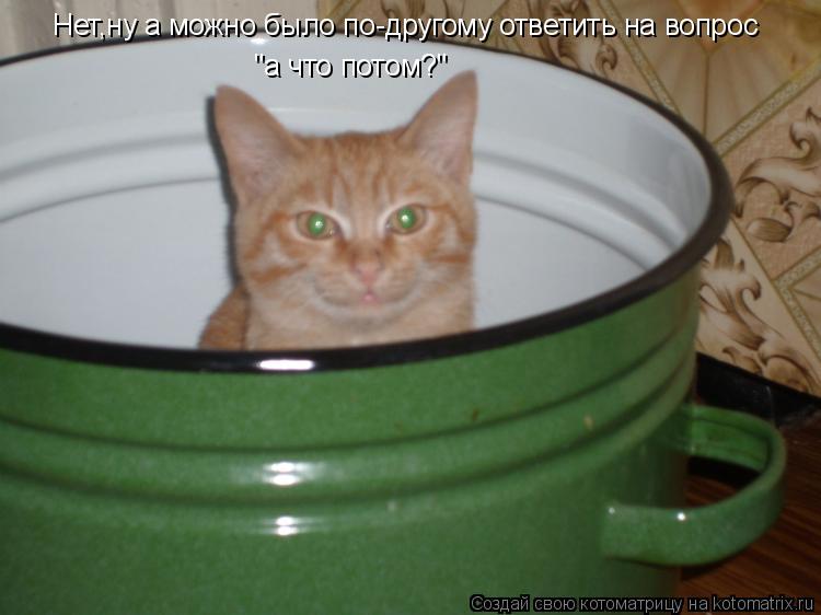 Нет,ну а можно было по-другому ответить на вопрос "а что потом?"... Котоматрица: Нет,ну а можно было по-другому ответить на вопрос "а что потом?"