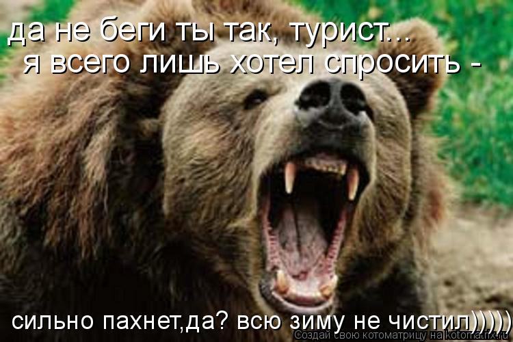 Котоматрица: да не беги ты так, турист... я всего лишь хотел спросить -  сильно пахнет,да? всю зиму не чистил)))))