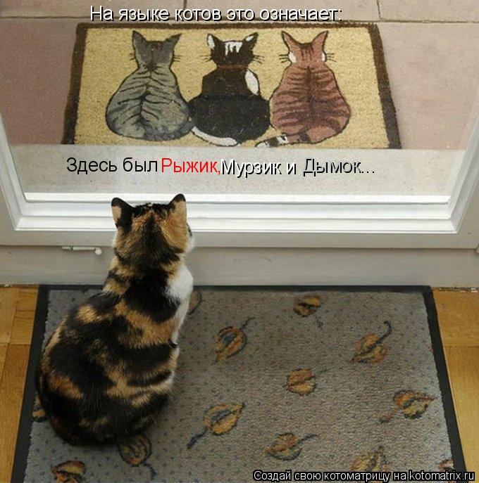 На языке котов это означает: Здесь был Рыжик, Дымок... Мурзик и... Котоматрица: На языке котов это означает: Здесь был Рыжик, Дымок... Мурзик и