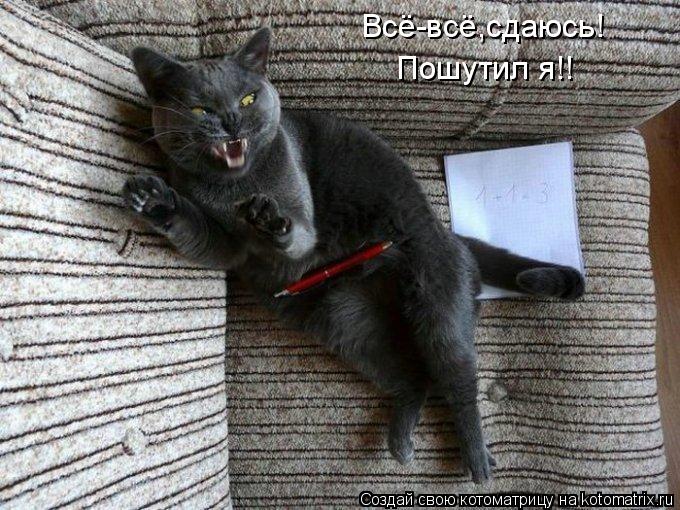Всё-всё,сдаюсь! Пошутил я!!... Котоматрица: Всё-всё,сдаюсь! Пошутил я!!