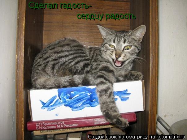 Сделал гадость- сердцу радость... Котоматрица: Сделал гадость- сердцу радость