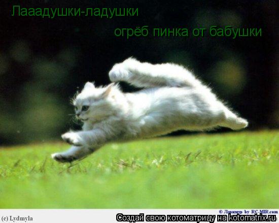 Лааадушки-ладушки огрёб пинка от бабушки... Котоматрица: Лааадушки-ладушки огрёб пинка от бабушки