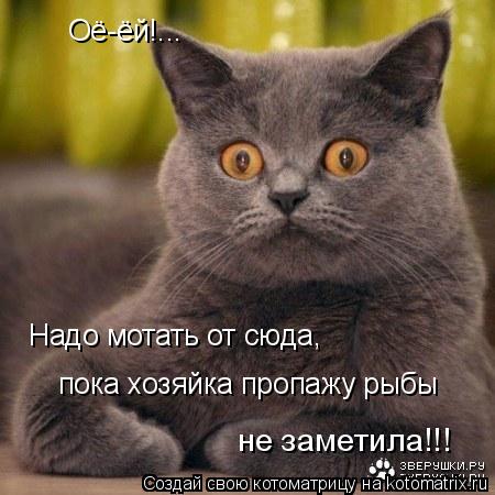 Оё-ёй!... Надо мотать от сюда, пока хозяйка пропажу рыбы не заметила!!!... Котоматрица: Оё-ёй!... Надо мотать от сюда, пока хозяйка пропажу рыбы не заметила!!!