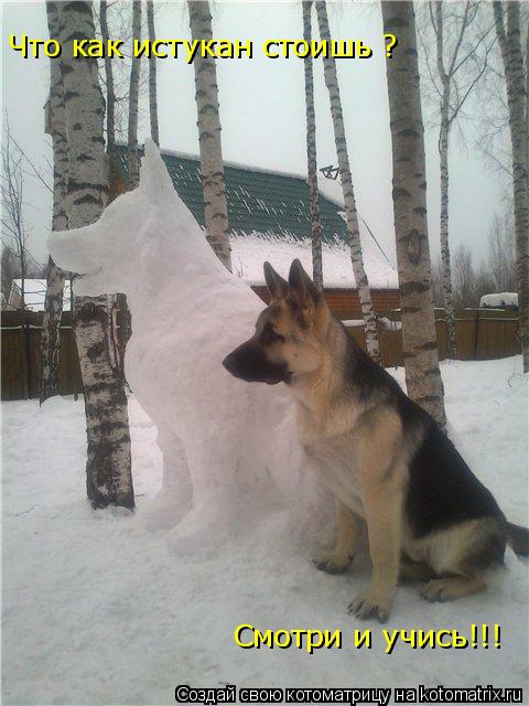Что как истукан стоишь ? Смотри и учись!!!... Котоматрица: Что как истукан стоишь ? Смотри и учись!!!
