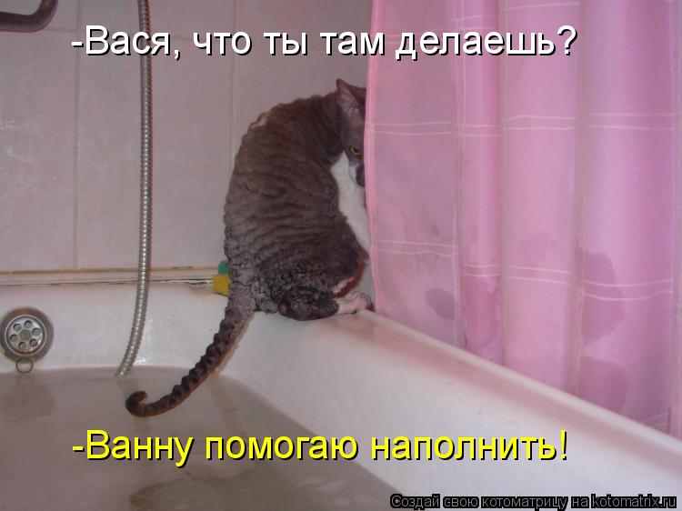 -Вася, что ты там делаешь? -Ванну помогаю наполнить!... Котоматрица: -Вася, что ты там делаешь? -Ванну помогаю наполнить!