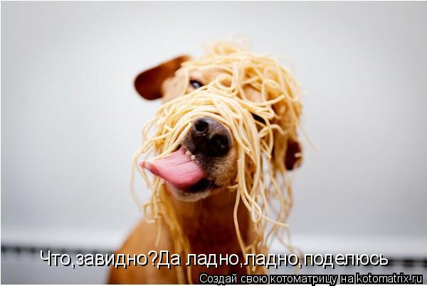 Что,завидно?Да ладно,ладно,поделюсь... Котоматрица: Что,завидно?Да ладно,ладно,поделюсь
