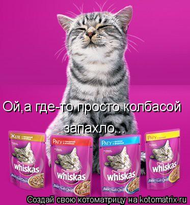 Ой,а где-то просто колбасой запахло...... Котоматрица: Ой,а где-то просто колбасой запахло...