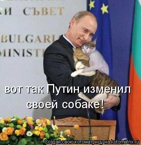 вот так Путин изменил своей собаке!... Котоматрица: вот так Путин изменил своей собаке!