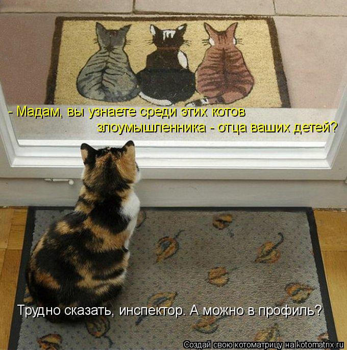 Котоматрица: - Мадам, вы узнаете среди этих котов  Трудно сказать, инспектор. А можно в профиль? злоумышленника - отца ваших детей?