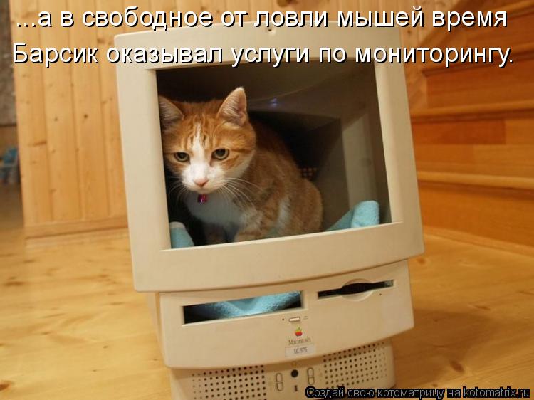 ...а в свободное от ловли мышей время Барсик оказывал услуги по мониторингу.... Котоматрица: ...а в свободное от ловли мышей время Барсик оказывал услуги по мониторингу.