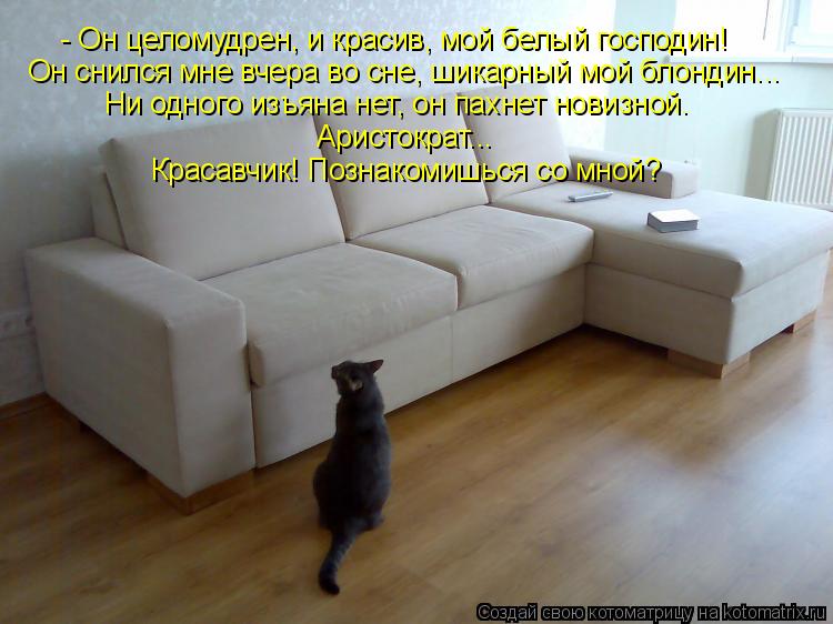 - Он целомудрен, и красив, мой белый господин! Он снился мне вчера во сне, шикарный мой блондин... Н... Котоматрица: - Он целомудрен, и красив, мой белый господин! Он снился мне вчера во сне, шикарный мой блондин... Ни одного изъяна нет, он пахнет новизной. Ар