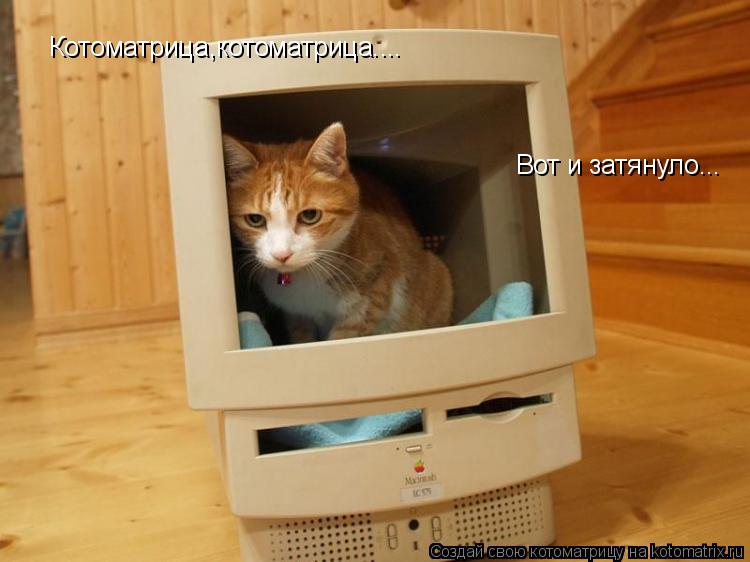 Котоматрица,котоматрица.... Вот и затянуло...... Котоматрица: Котоматрица,котоматрица.... Вот и затянуло...