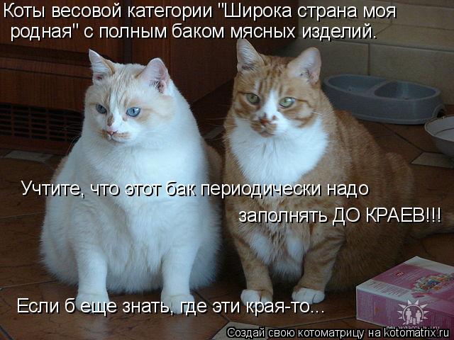 Коты весовой категории "Широка страна моя родная" с полным баком мясных изделий. Учтите, что этот ба... Котоматрица: Коты весовой категории "Широка страна моя родная" с полным баком мясных изделий. Учтите, что этот бак периодически надо заполнять ДО КРАЕВ!