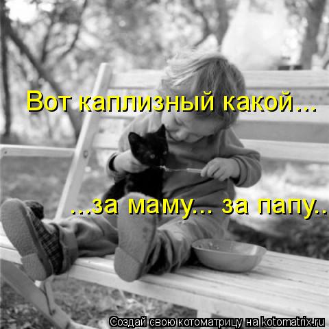 Вот каплизный какой... ...за маму... за папу...... Котоматрица: Вот каплизный какой... ...за маму... за папу...