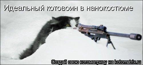 Идеальный котовоин в нанокостюме... Котоматрица: Идеальный котовоин в нанокостюме