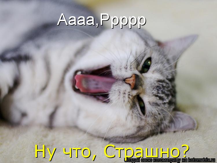 Ну что, Страшно? Аааа,Ррррр... Котоматрица: Ну что, Страшно? Аааа,Ррррр
