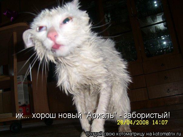 ик... хорош новый "Ариэль" - забористый!... Котоматрица: ик... хорош новый "Ариэль" - забористый!