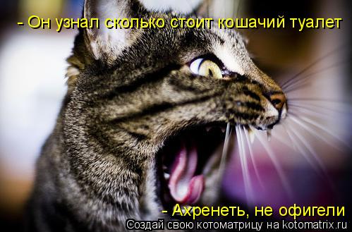 - Он узнал сколько стоит кошачий туалет - Ахренеть, не офигели... Котоматрица: - Он узнал сколько стоит кошачий туалет - Ахренеть, не офигели