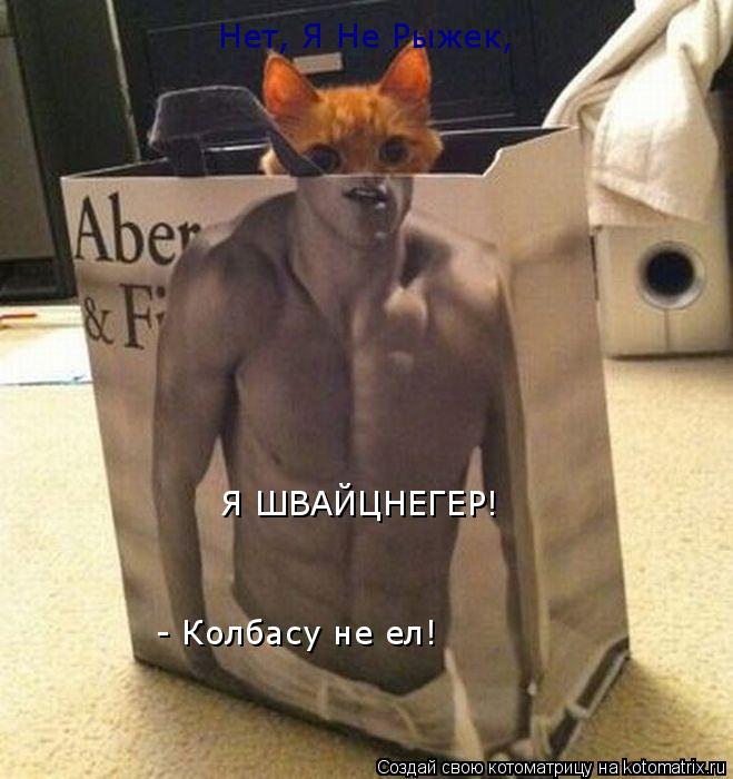Нет, Я Не Рыжек, Я ШВАЙЦНЕГЕР! - Колбасу не ел!... Котоматрица: Нет, Я Не Рыжек, Я ШВАЙЦНЕГЕР! - Колбасу не ел!