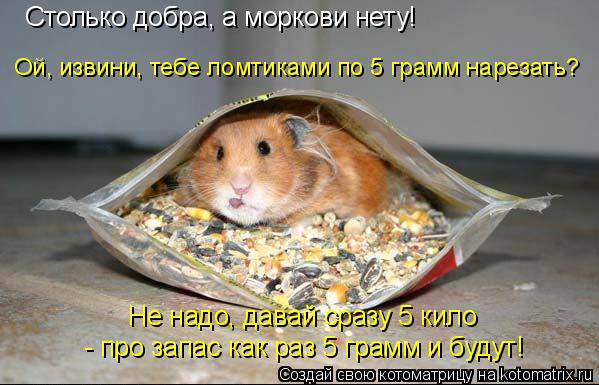 Столько добра, а моркови нету! Ой, извини, тебе ломтиками по 5 грамм нарезать? Не надо, давай сразу 5... Котоматрица: Столько добра, а моркови нету! Ой, извини, тебе ломтиками по 5 грамм нарезать? Не надо, давай сразу 5 кило - про запас как раз 5 грамм и будут!