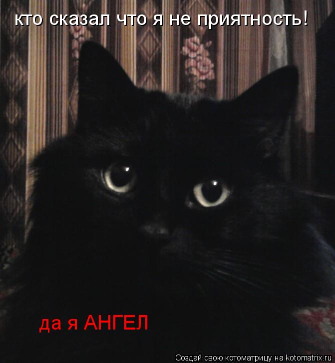 кто сказал что я не приятность! да я АНГЕЛ... Котоматрица: кто сказал что я не приятность! да я АНГЕЛ