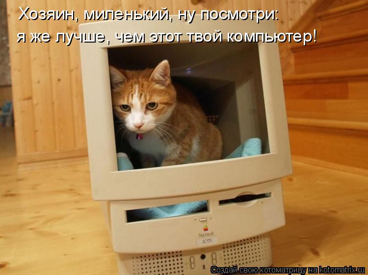 Хозяин, миленький, ну посмотри: я же лучше, чем этот твой компьютер!... Котоматрица: Хозяин, миленький, ну посмотри: я же лучше, чем этот твой компьютер!