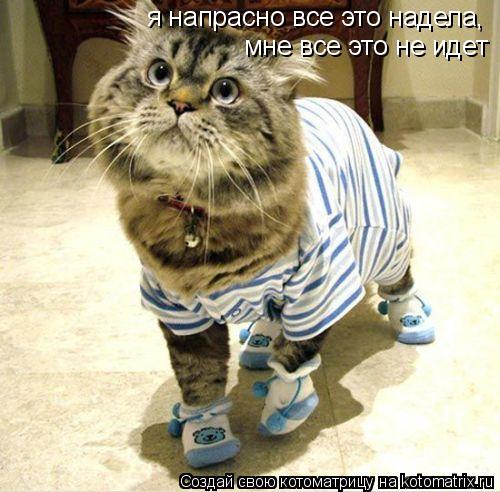 я напрасно все это надела, мне все это не идет мне все это не идет я напрасно все это надела,... Котоматрица: я напрасно все это надела, мне все это не идет мне все это не идет я напрасно все это надела,