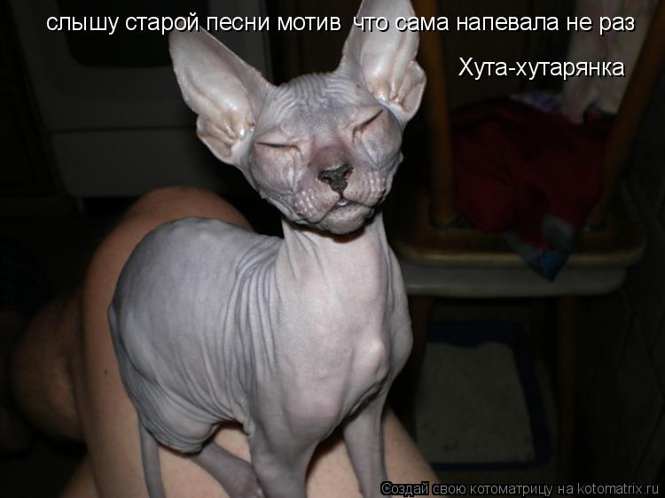 слышу старой песни мотив что сама напевала не раз Хута-хутарянка... Котоматрица: слышу старой песни мотив что сама напевала не раз Хута-хутарянка