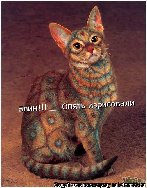 Блин!!!___Опять изрисовали... Котоматрица: Блин!!!___Опять изрисовали