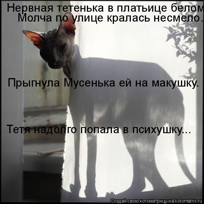 Нервная тетенька в платьице белом Молча по улице кралась несмело. Прыгнула Мусенька ей на макушку. Те... Котоматрица: Нервная тетенька в платьице белом Молча по улице кралась несмело. Прыгнула Мусенька ей на макушку. Тетя надолго попала в психушку...