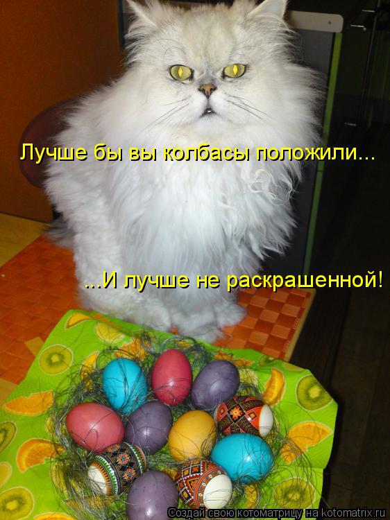 Лучше бы вы колбасы положили... ...И лучше не раскрашенной!... Котоматрица: Лучше бы вы колбасы положили... ...И лучше не раскрашенной!