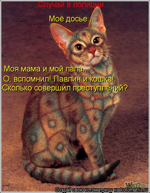 О, вспомнил! Павлин и кошка! Сколько совершил преступлений? Моё досье... Моя мама и мой папа... Случа... Котоматрица: О, вспомнил! Павлин и кошка! Сколько совершил преступлений? Моё досье... Моя мама и мой папа... Случай в полиции.