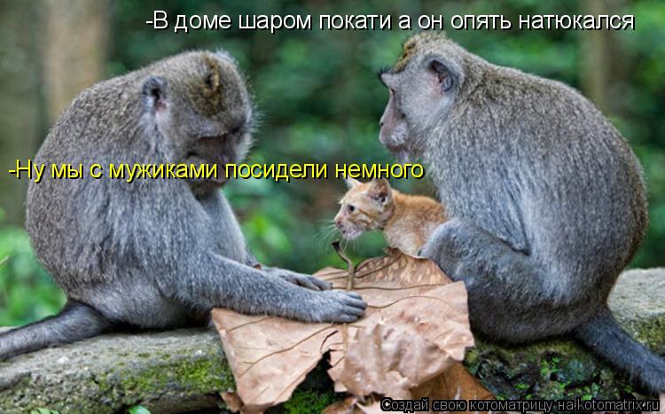 -В доме шаром покати а он опять натюкался -Ну мы с мужиками посидели немного... Котоматрица: -В доме шаром покати а он опять натюкался -Ну мы с мужиками посидели немного