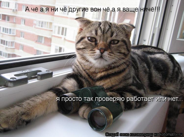 А чё а я ни чё другие вон чё а я ваще ничё!!! я просто так проверяю работает или нет...... Котоматрица: А чё а я ни чё другие вон чё а я ваще ничё!!! я просто так проверяю работает или нет...