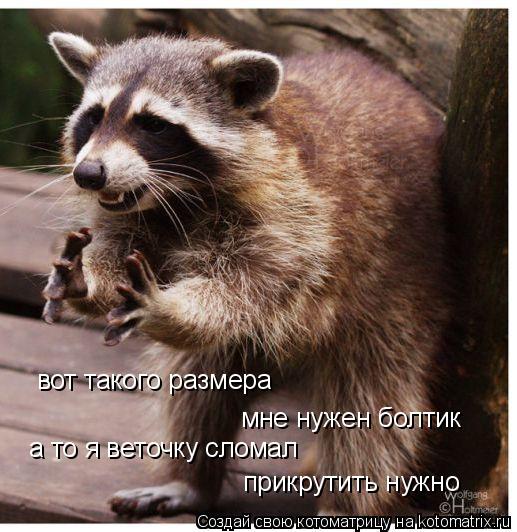 вот такого размера мне нужен болтик а то я веточку сломал прикрутить нужно... Котоматрица: вот такого размера мне нужен болтик а то я веточку сломал прикрутить нужно
