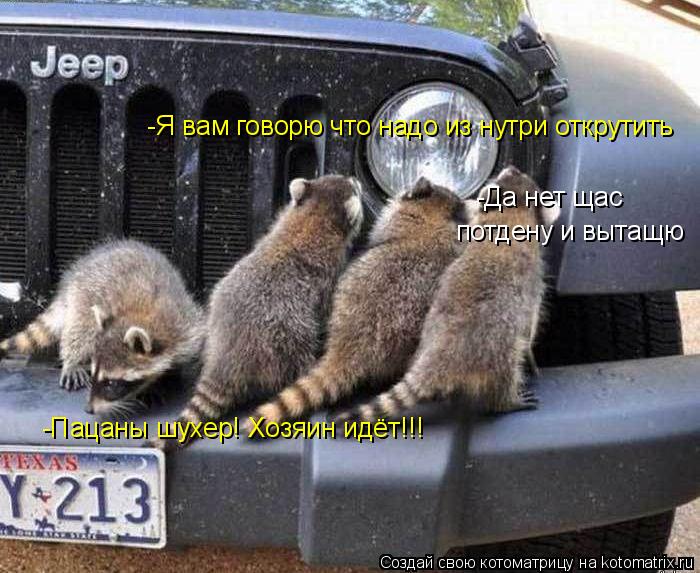 -Я вам говорю что надо из нутри открутить -Да нет щас потдену и вытащю -Пацаны шухер! Хозяин идёт!!!... Котоматрица: -Я вам говорю что надо из нутри открутить -Да нет щас потдену и вытащю -Пацаны шухер! Хозяин идёт!!!