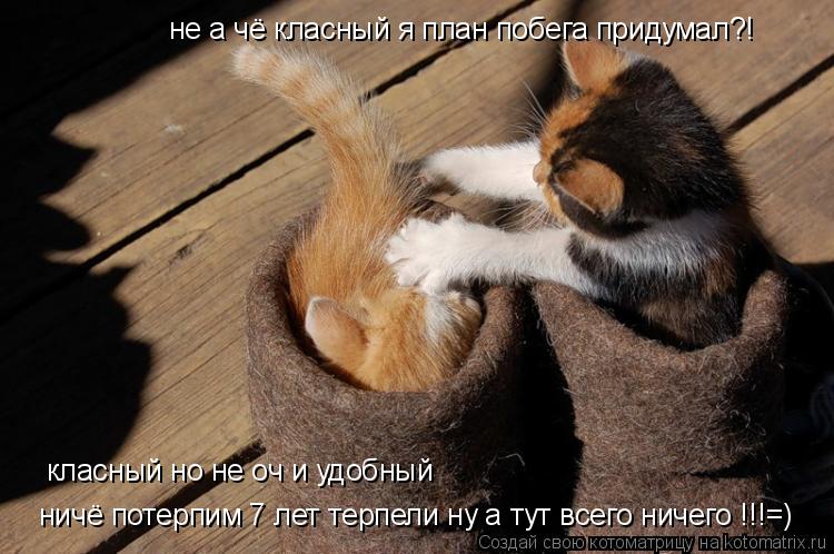 не а чё класный я план побега придумал?! класный но не оч и удобный ничё потерпим 7 лет терпели ну а... Котоматрица: не а чё класный я план побега придумал?! класный но не оч и удобный ничё потерпим 7 лет терпели ну атут всё ничё потерпим 7 лет терпели ну а ту